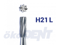 H21L014FG