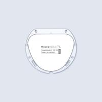 Ceramill ZI - заготовки из циркона